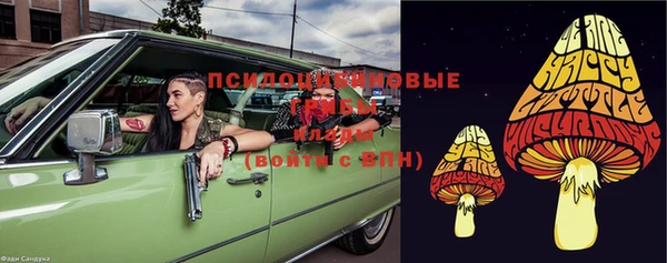 mdma Горнозаводск